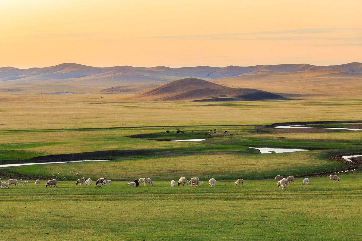 mongolia-surga-tersembunyi-di-ujung-dunia